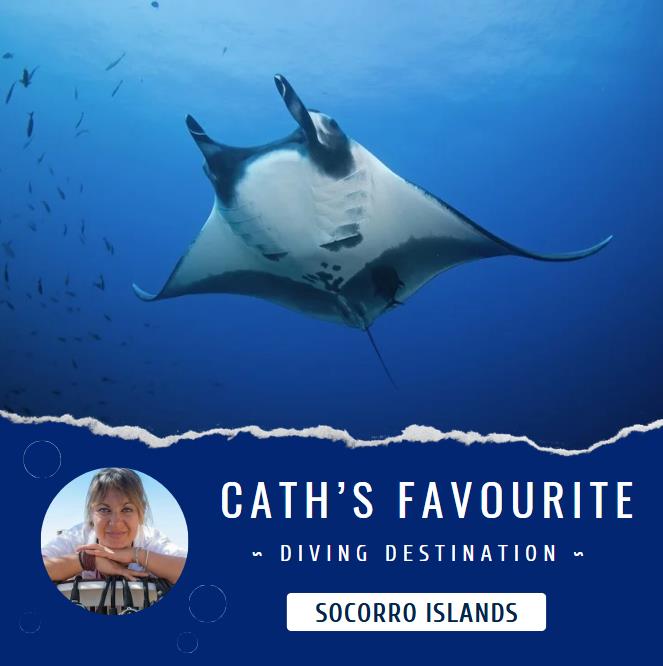 Dive Worldwide tweet media