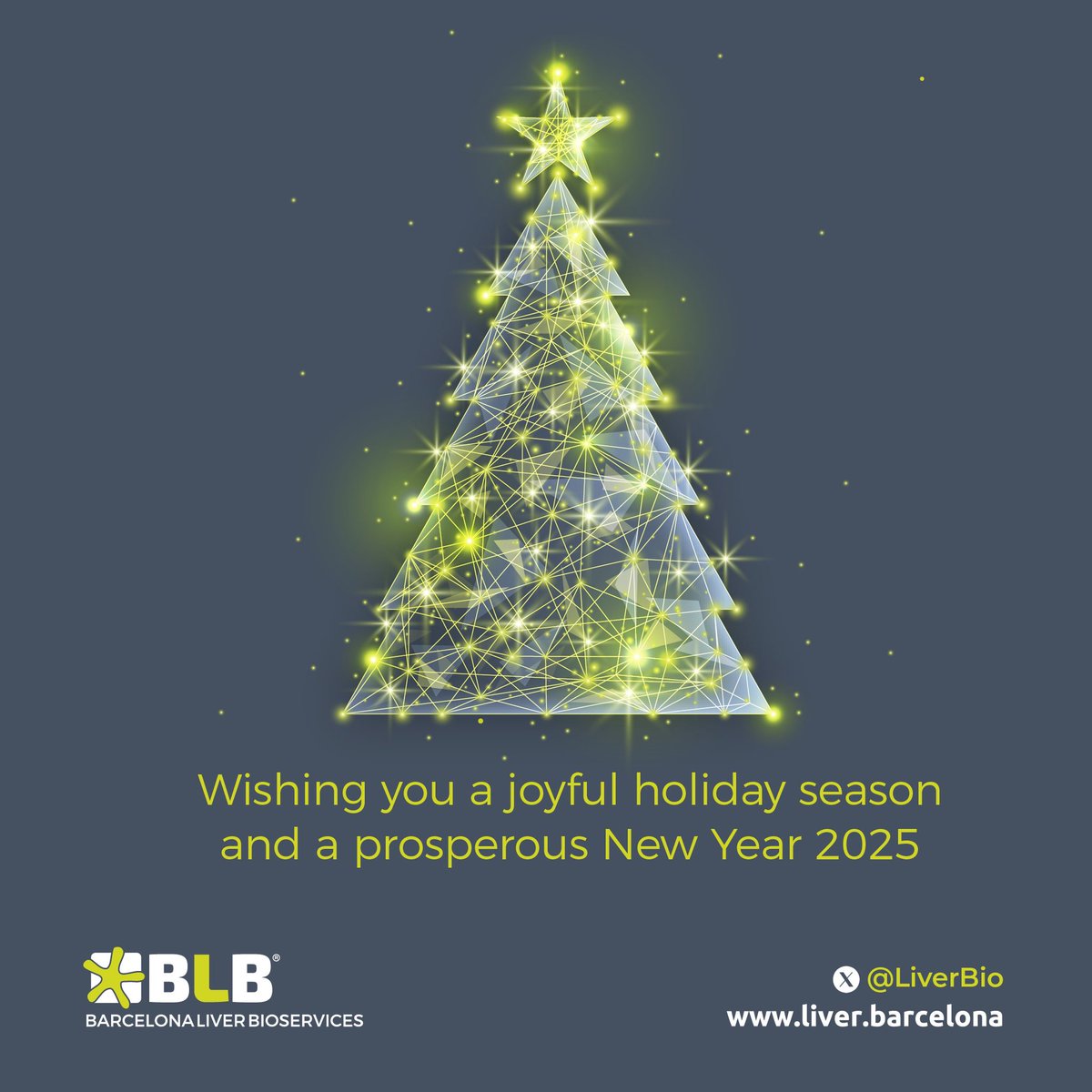 Season Greetings from Barcelona Liver Bioservices! 🎄💫

We’re grateful for all the collaborations in advancing #liver disease #research. Here’s to a successful 2025 filled with new diacoveries and impactful partnerships! 🥂

#HappyHolidays