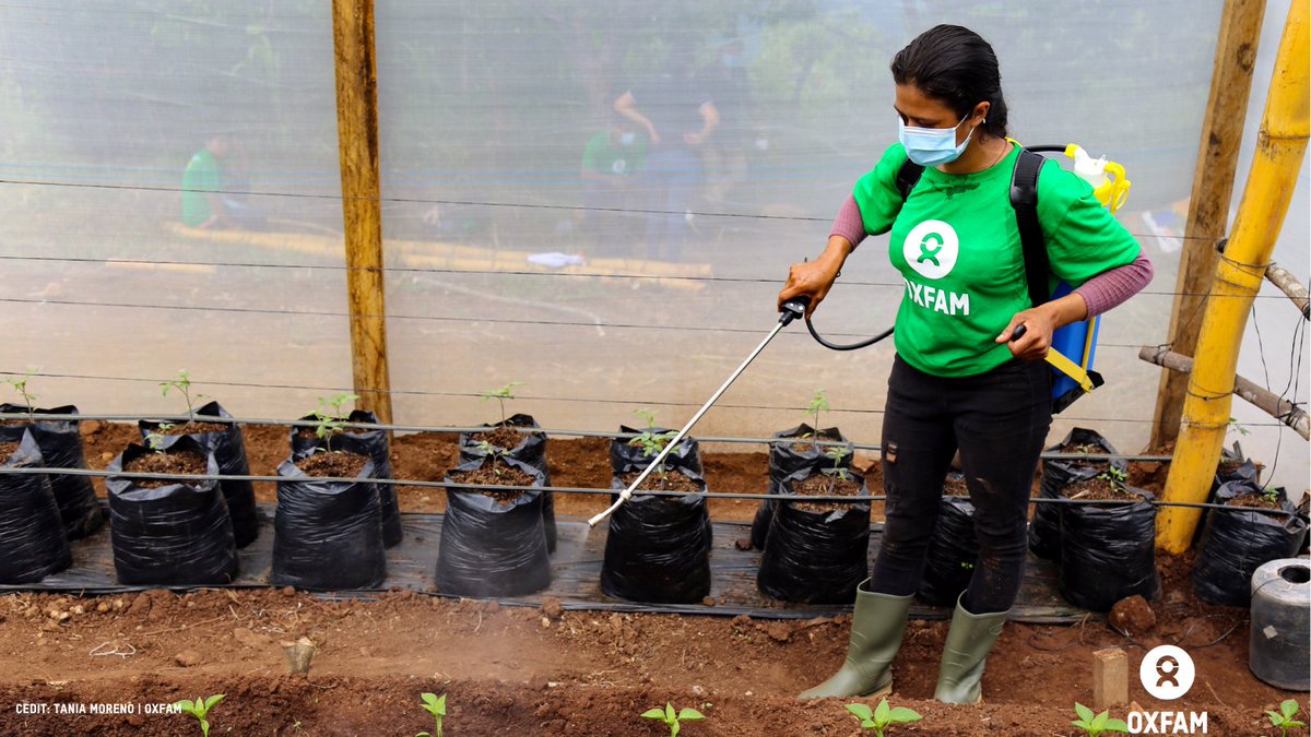 Oxfam's tweet photo. Pesticides harm health, destroy ecosystems, and fuel climate change. Europe may ban them locally, but they still export hazardous chemicals abroad, affecting farmers and communities globally. Agroecology offers a sustainable, healthier alternative. This is the future we need—starting now. Learn more: https://t.co/K6y0piS6ZY