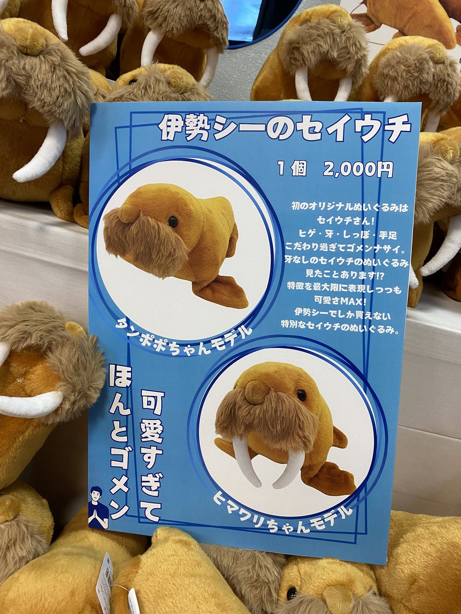 伊勢シーパラダイス セイウチ タツノオトシゴ ぬいぐるみ ３体セット 現状品 伊勢シーパラダイス セイウチ タツノオトシゴ ぬいぐるみ 3体セット