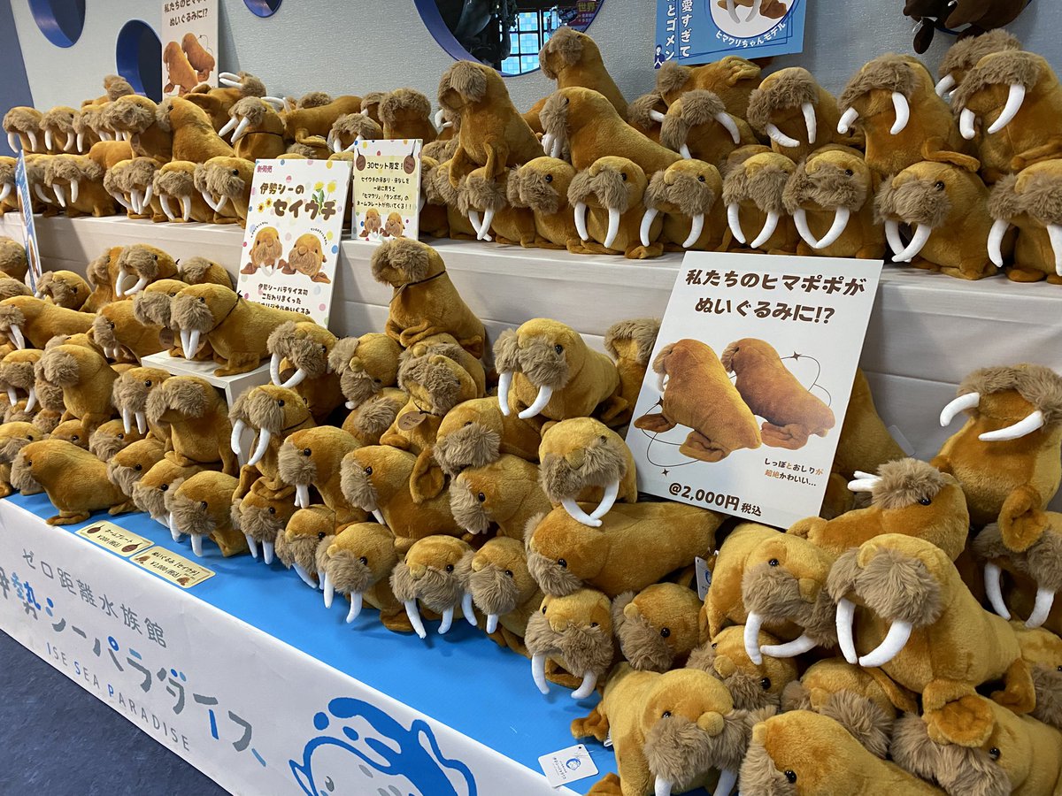 GfECUwFbIAEJm8P.jpg?format=jpg