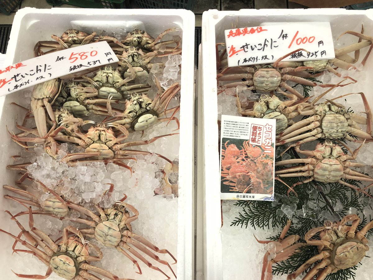 yoshiike_group's tweet photo. カニ🦀カニ🦀 https://t.co/mZt0uQC3eY