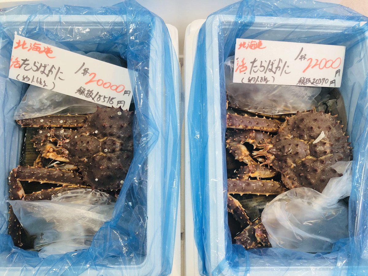 yoshiike_group's tweet photo. カニ🦀カニ🦀 https://t.co/mZt0uQC3eY