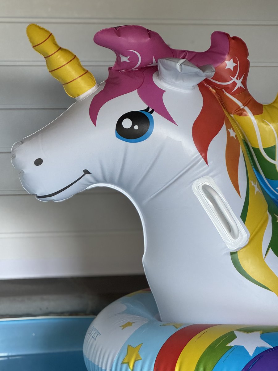 BarclayJanine's tweet photo. Last week of term and we are riding the inflatables! https://t.co/api5SQOC4I