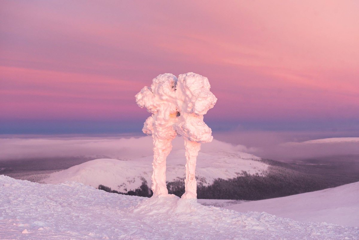 DiscoverFinland's tweet image. Ylläs has long attracted visitors keen to experience the winter charms of its unique fell landscapes, to enjoy the amenities of its twin ski resorts, &amp;amp; to explore the beauty of Pallas-Yllästunturi National Park nearby, Finland’s most visited national park:
discoveringfinland.com/blog/yllas-lap…