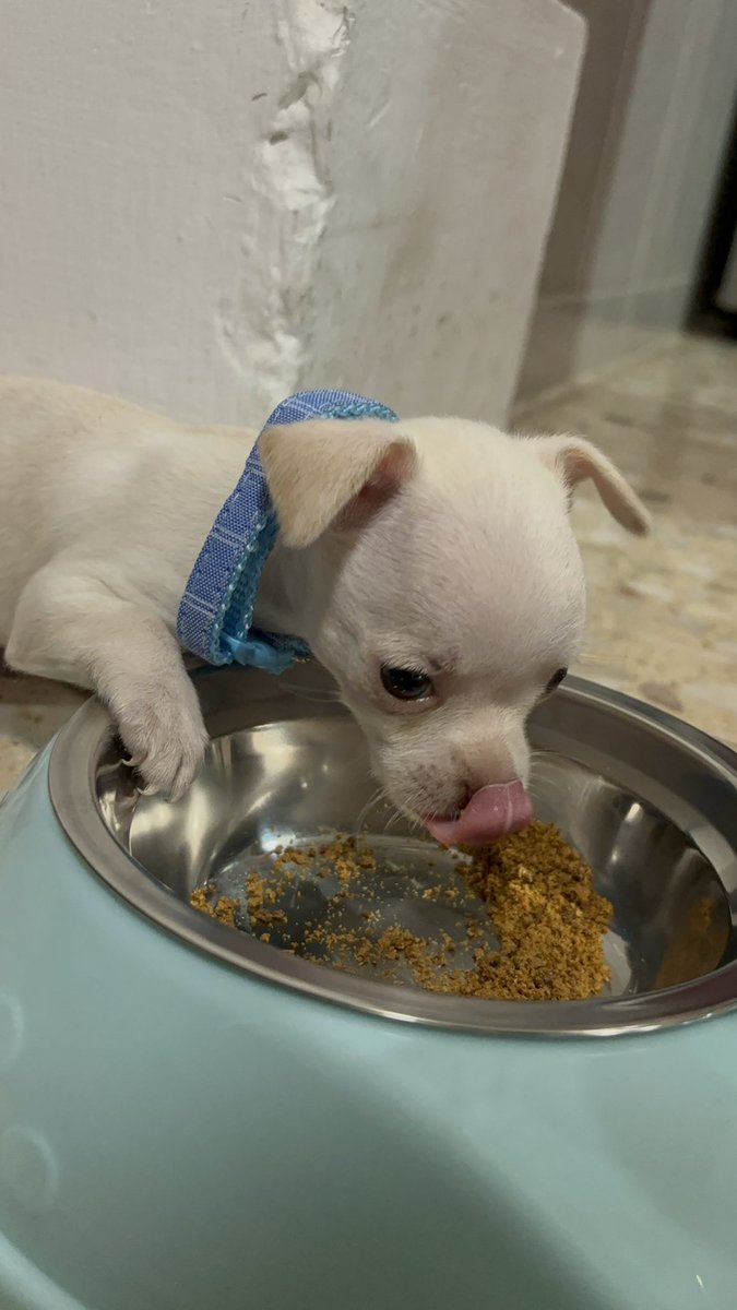 dianayejunr's tweet photo. Al fin conmigo 🥰🩵 https://t.co/nkPQMrl7O9