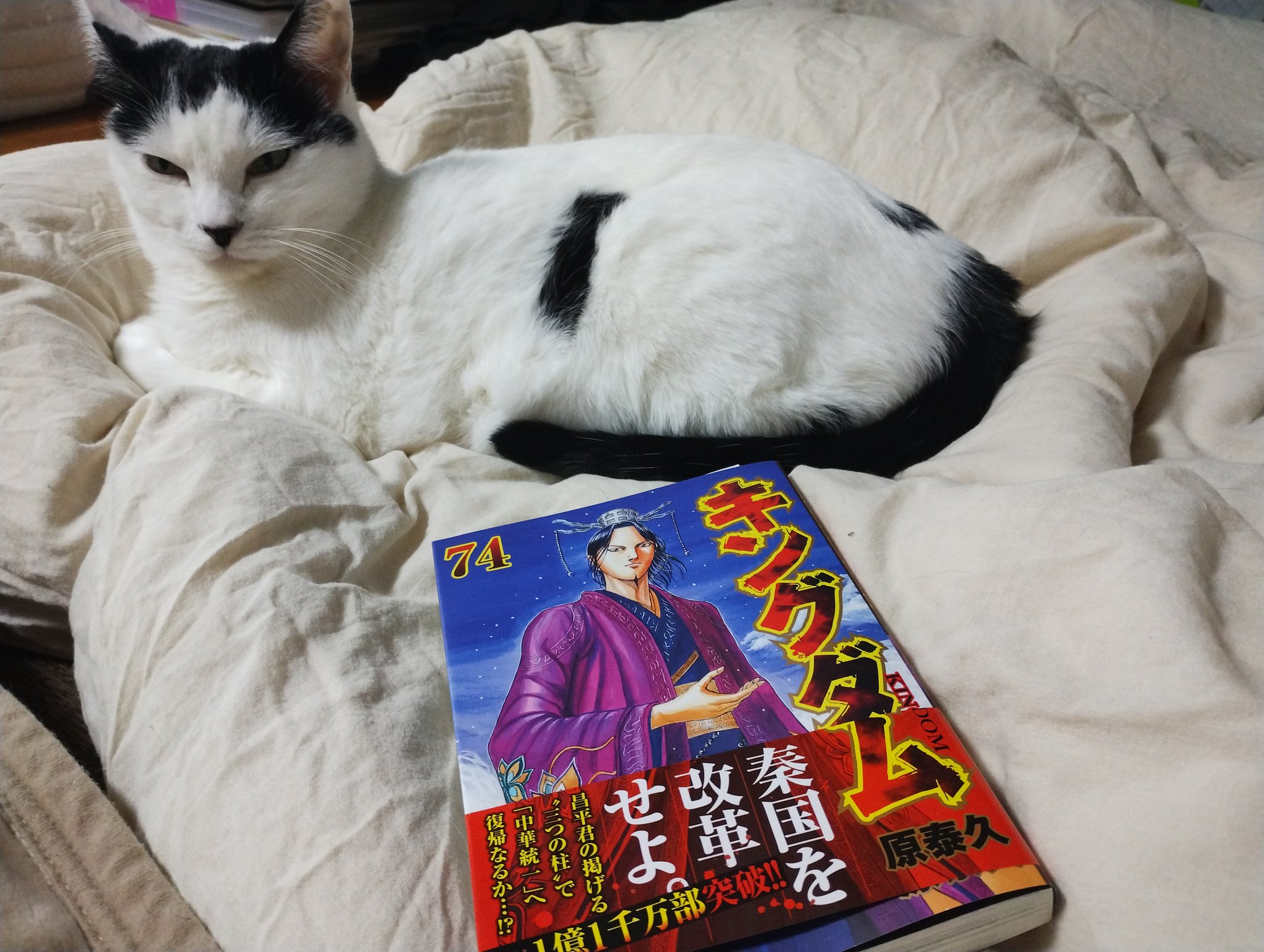 キングダム74巻 - Search / X