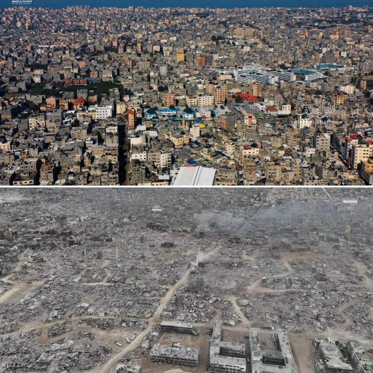 This is what is happening in Gaza, Jabalia, they are destroying everything, people, stones and trees.