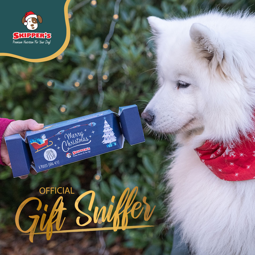 PAWS OFF! Only 7 more sleeps until the big day 🎅

#christmascountdown #dogtreats #christmas #skipperspetproducts #giftideas #giftsfordogs