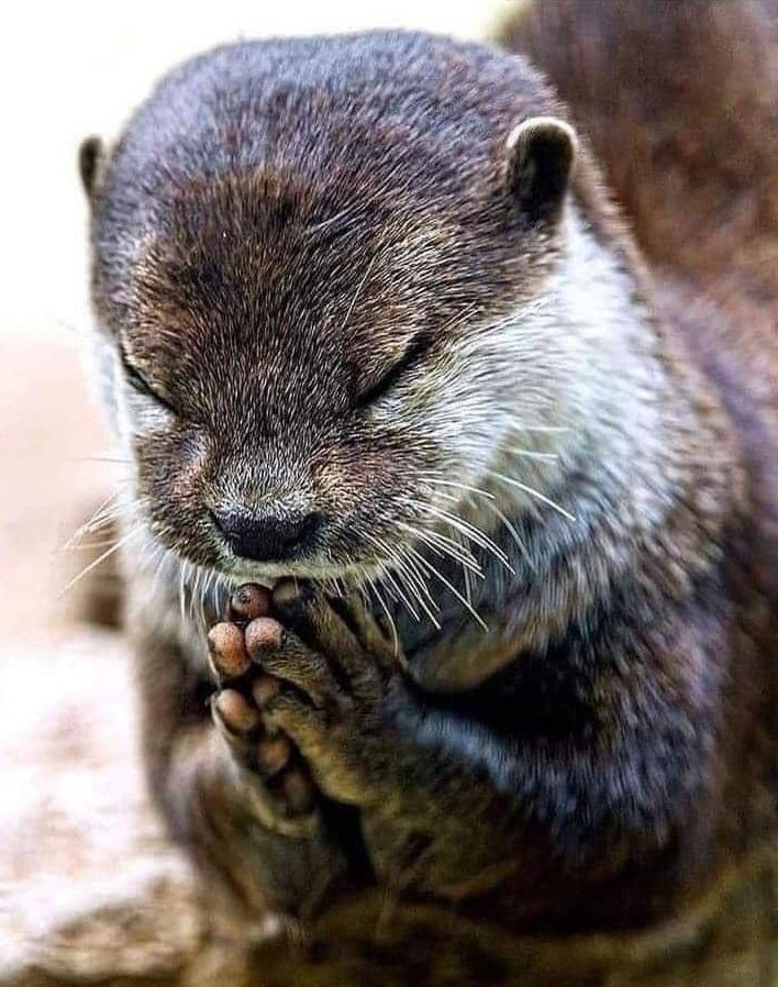 LeftWriter_'s tweet photo. Challenges in life are plenty, but don't give up. The darker the night, the closer the dawn. Trust that God sees your struggles. Stay kind and keep praying. If He can bless you with what you never asked for, He'll surely grant what you do. #Tuishi✊🏾 https://t.co/tGhRy9ktBb