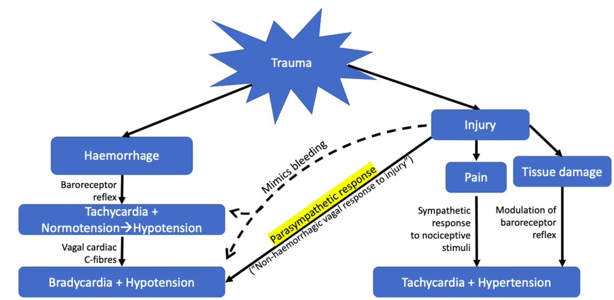 Today's Paper of the Day is the non-haemorrhagic vagal response to trauma

criticalcarereviews.com/latest-evidenc…

Join us to read 1 paper per day and stay up-to-date as we cover the spectrum of critical care across 2024