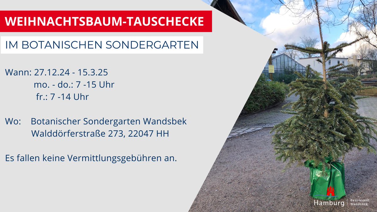 Weihnachtsbäume, die noch alle Nadeln in der Krone haben und über einen guten Wurzelballen verfügen, können in der #Weihnachtsbaum-Tauschecke im Botanischen #Sondergarten vor dem Gewächshaus abgestellt werden🎄. Ihr könnt euch die Bäume mitnehmen und im eigenen Garten pflanzen😍.