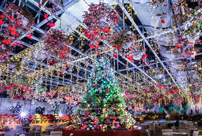 Xmas なばなの里へ ☆12/23～25 15:00~23:00「（日付指定券