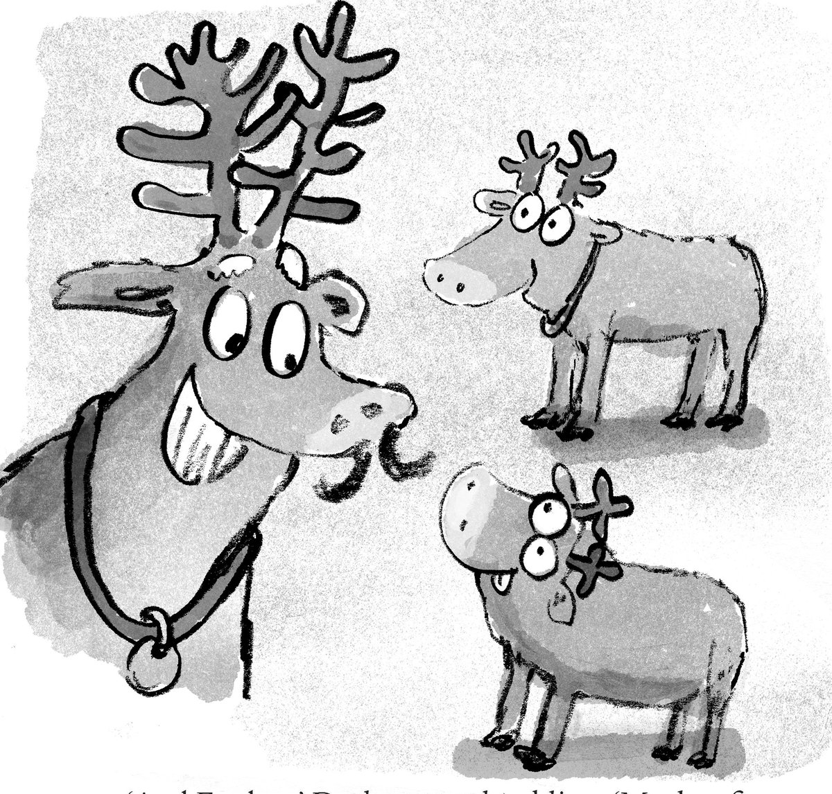 Neal Layton tweet media