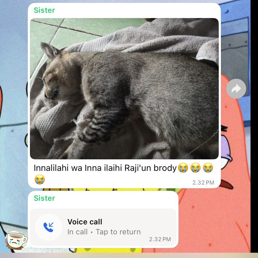 Udah gabisa ketolong 😢

RIP Brody