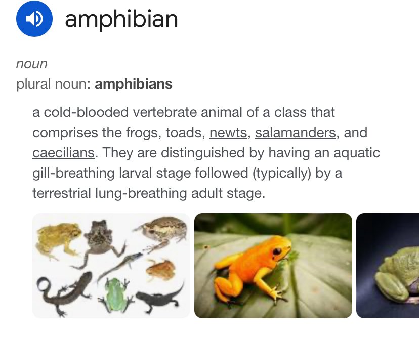 Ja BroadBased Government 🇰🇪 tweet media