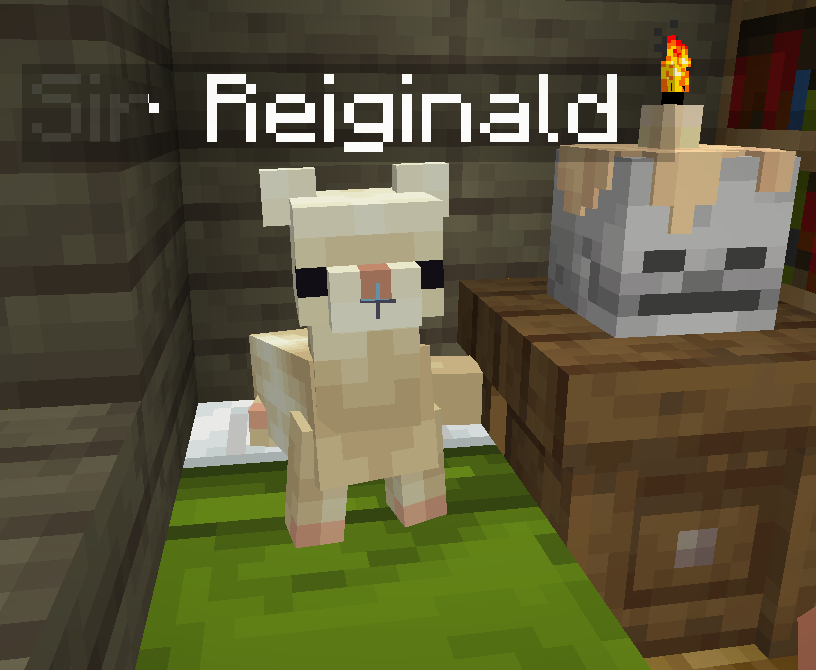 mcpocketsmp's tweet photo. Our pets... They remember the stories that we may forget
#PocketSMP https://t.co/ySrSS94dzJ