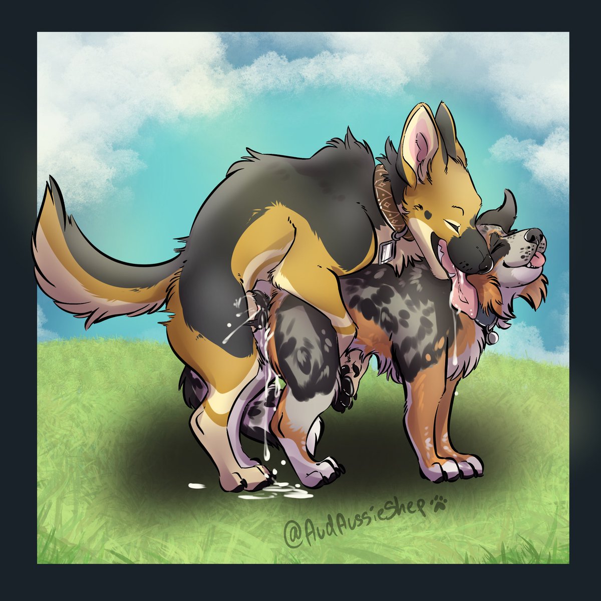 AudAussieShep's tweet photo. Me and @CollectiveK9 but in color! I bet we’ll make such cute puppies together <33 https://t.co/dQKFQ2ir5D