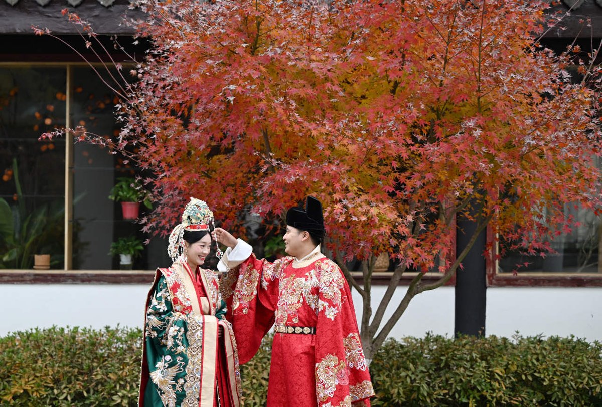 NanhuMedia's tweet photo. On the evening of December 17, by the #Nanhu in downtown Jiaxing, vibrant #redmapleleaves 🍁 created a picturesque scene with a couple dressed in #traditionalattire 👰🤵.
In early #winter ❄️, the Nanhu is surrounded by fiery red maple leaves, attracting many residents and tourists daily for photos 📸 and check-ins.