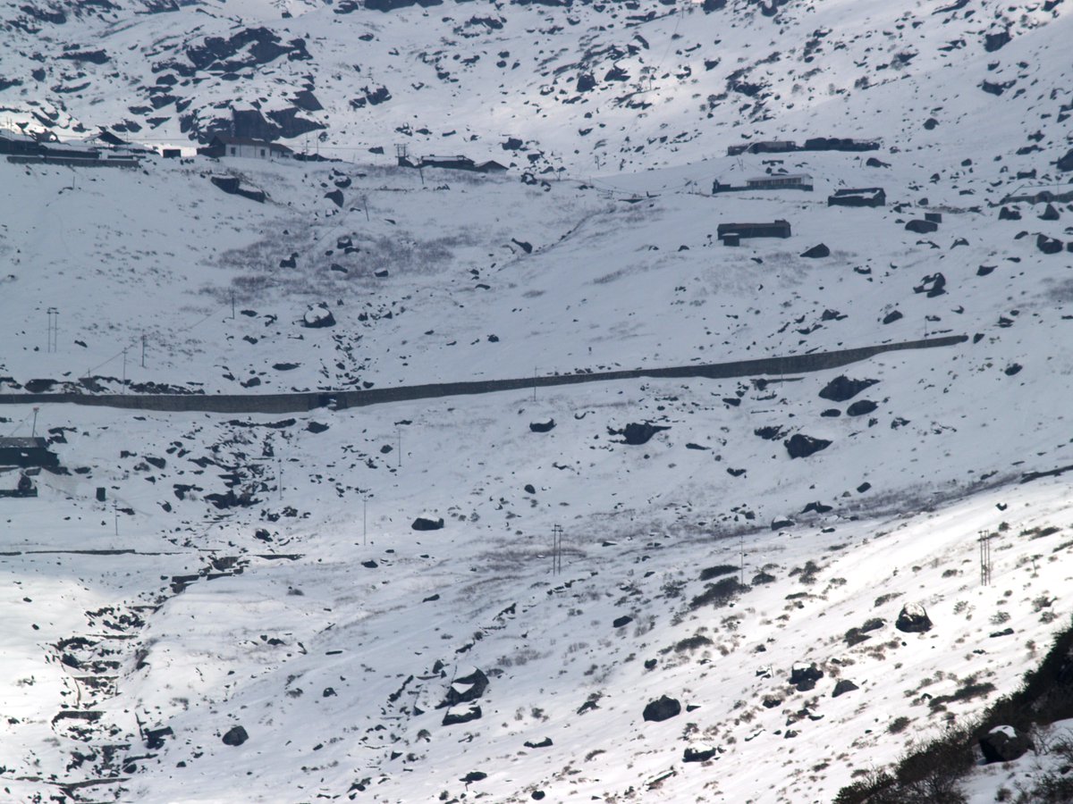 Paul Brain tweet media