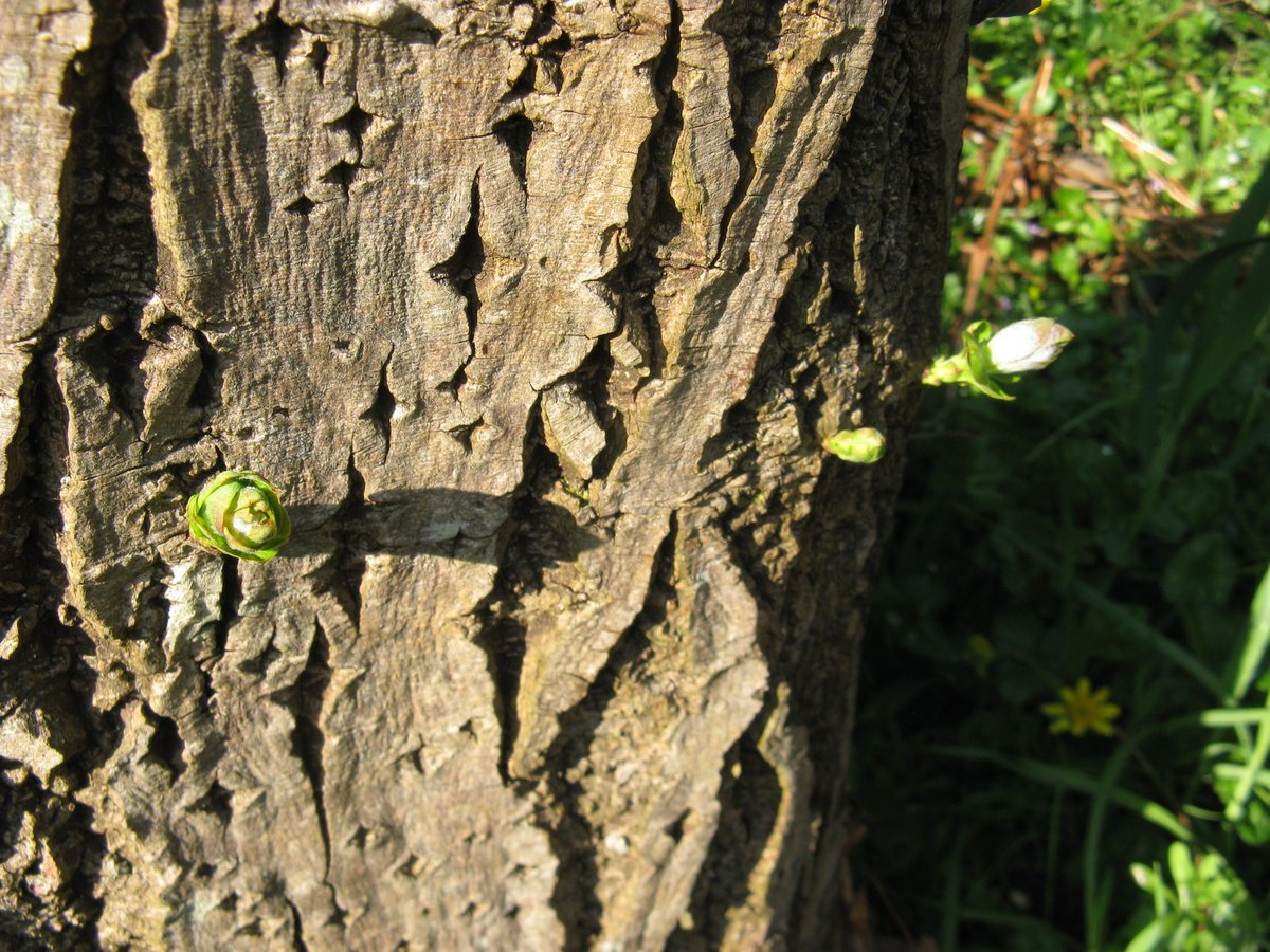 Paul Brain tweet media