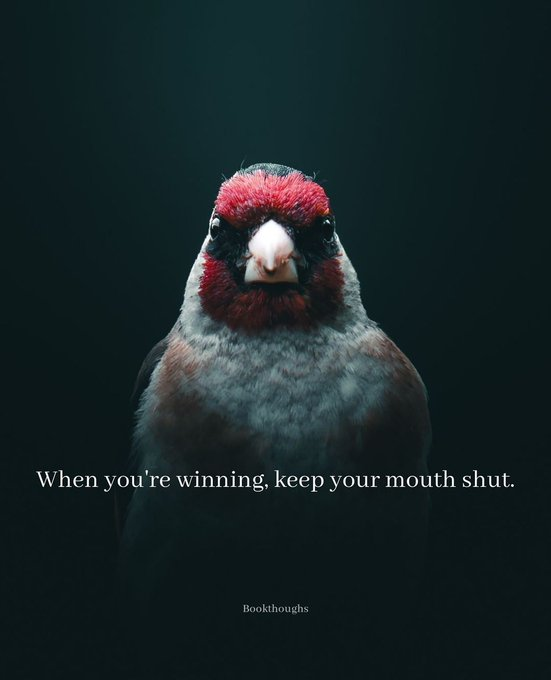 Mindful Maven (@mindfulmaven_) on Twitter photo 