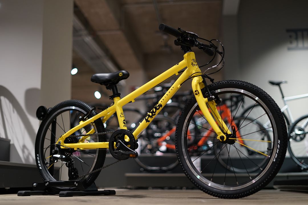Frog Bikes tweet media