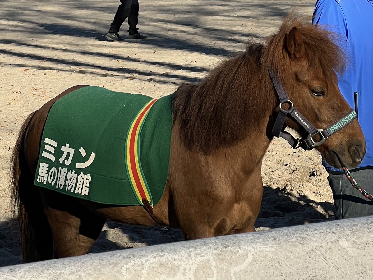 IKD36's tweet photo. 実は根岸競馬記念公苑グランドフィナーレ、俺も行っとったよヽ(´∀`*)ﾉ･｡*ﾟ
でーりゃあ ええ天気で、よーけ人が集い、寂しさも吹っ飛ばすようだったな！…………さびしいけどな！！！！！ https://t.co/LAdcqlLwke