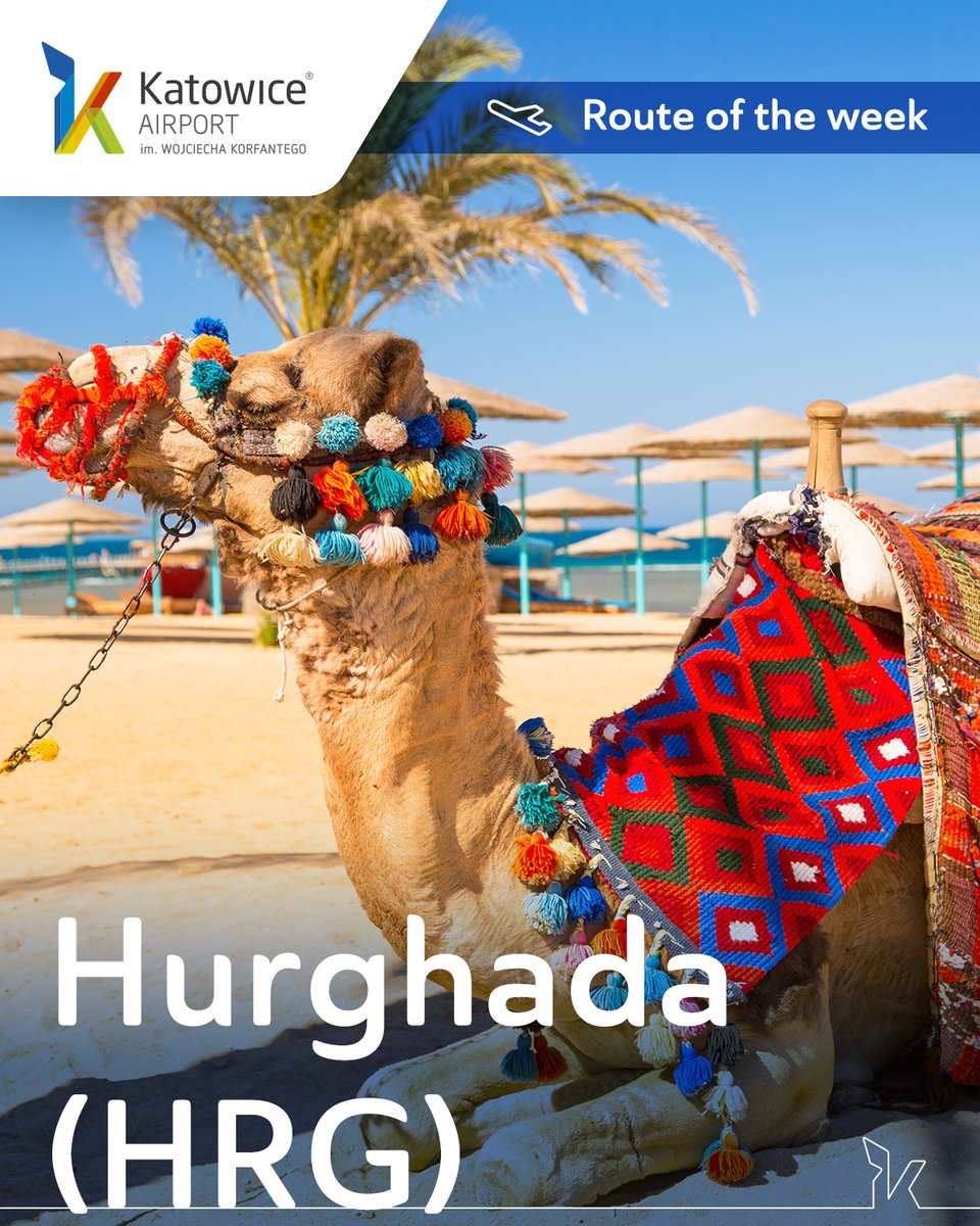 KatowiceAirport's tweet photo. 🏆 #RouteOfTheWeek

🇪🇬 #Hurghada is a great place for an adventure! Golden beaches and unique atmosphere of this Egyptian resort area await you. Discover the desert, dive into the world of coral reefs and enjoy the sun throughout the year. See you in Hurghada!

#flyKTW https://t.co/gds0qqrNU6