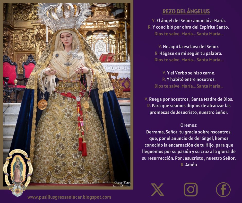 Bajo tu amparo nos acogemos, Santa Madre de Dios. No desoigas nuestras súplicas que te dirigimos en nuestras necesidades, antes bien, líbranos de todos los peligros, Virgen gloriosa y bendita.
#pusillusgrex #guadalupe #jara #soberanopoder