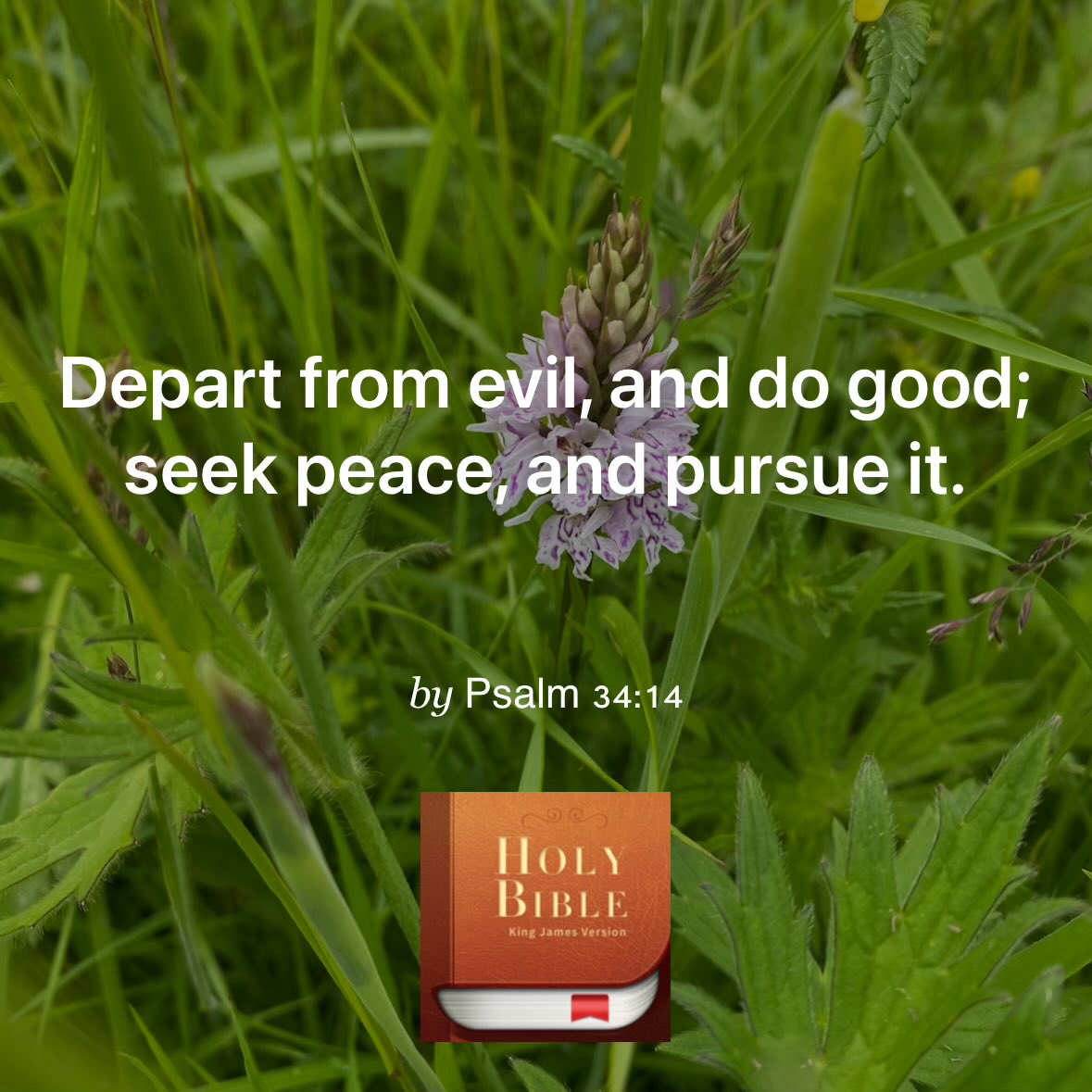 nuwishme's tweet image. Good morning all 😁🙏🏼
For all our world leaders out there.
#Peace #Hope #Faith #Love ❤️
Pass it on 🙏🏼