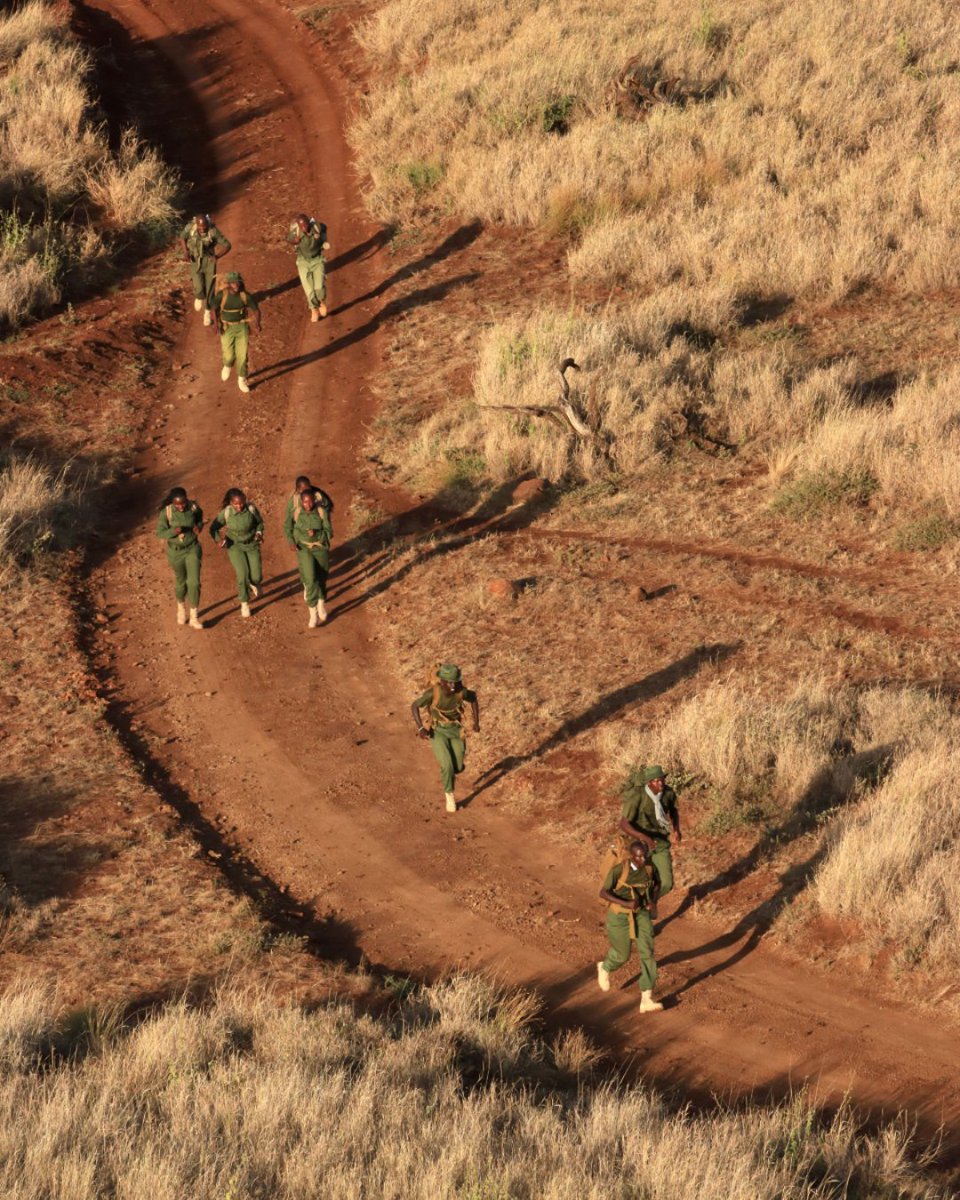 tusk_org's tweet photo. At highlight of 2024 was the #WildlifeRangerChallenge!

We are grateful to @The_GRAA, Mark Scheinberg &amp; our vital sponsors who help raise vital funds #ForWildlifeRangers 

Find out about the diverse duties of a Ranger, on #TuskTalksPodcast 
🎙️ https://t.co/iqDZJtvkMc https://t.co/frUWOLtzTo