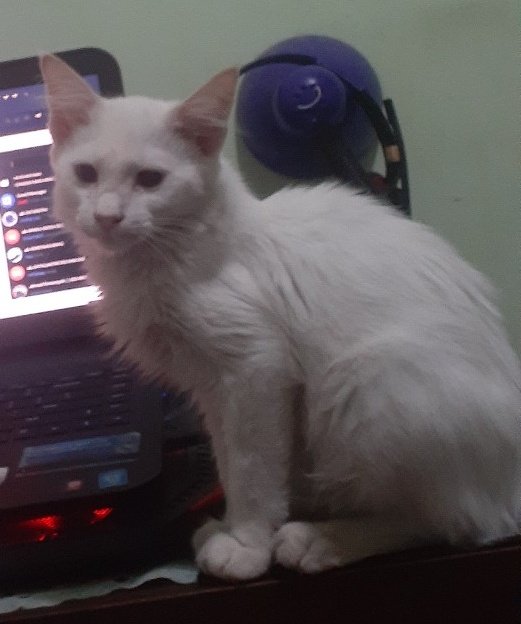 rahmareiza18's tweet photo. Makasih ya ko 😢 https://t.co/7OJneceK68