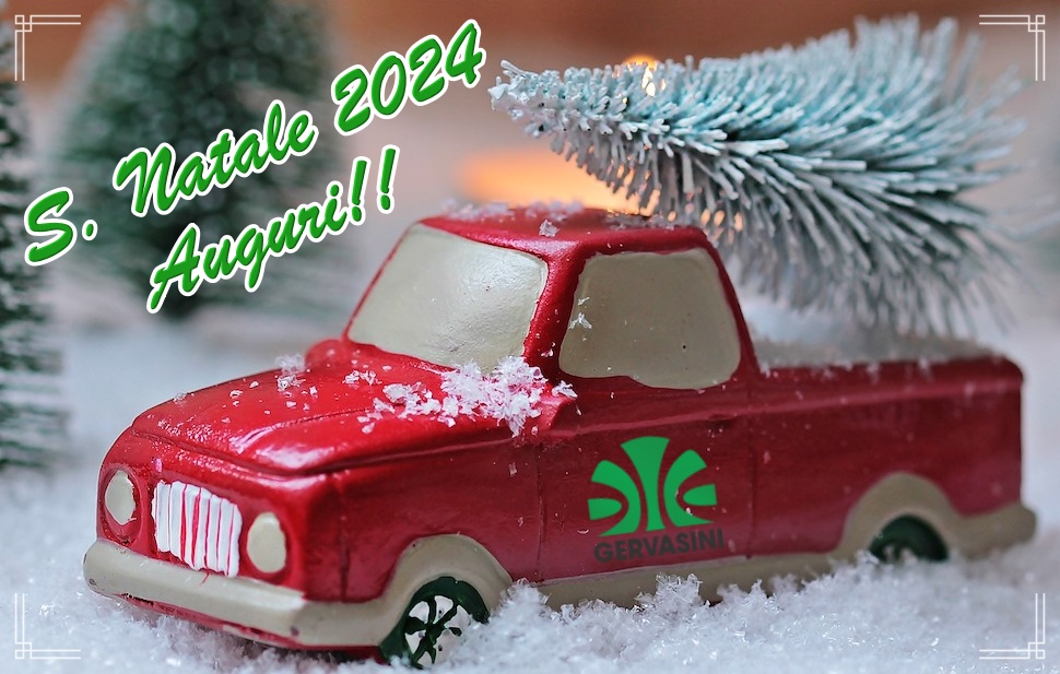 Buone feste a tutti!! 🎄🎁#natale#christmas#navidad#buonnatale#happychristmas#feliznavidad#natale2024#vacanzedinatale#christmasholidays#auguri#floricolturapasqualegervasini#xmas