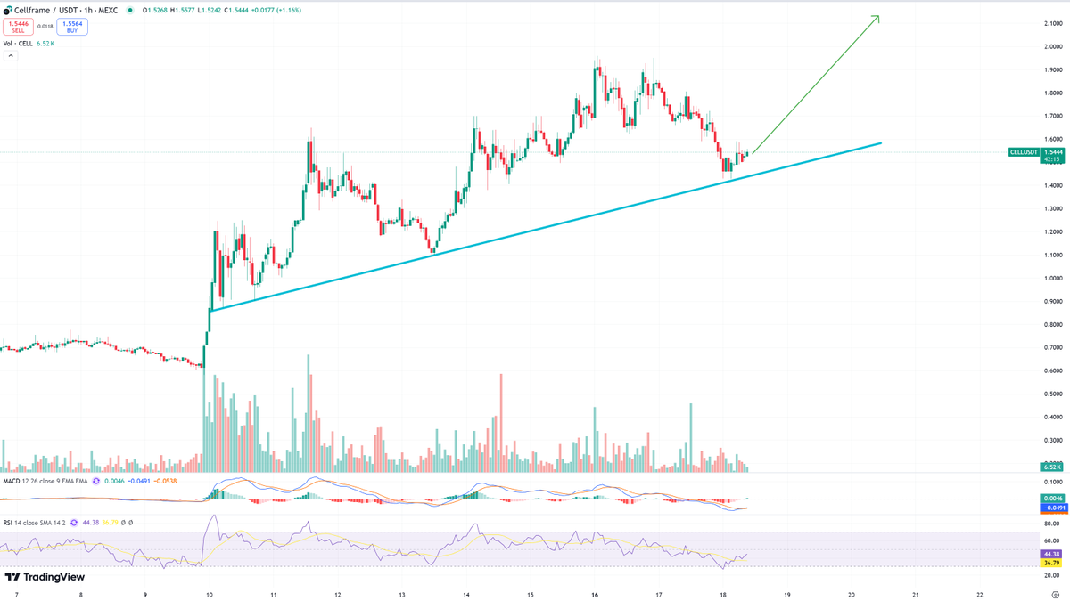 Defaultplayer13's tweet image. One of the most bullish projects at the moment is $CELL @cellframenet with their quantum resistant blockchain.... ( this narritive gets hype at the moment )

Oh - and yes, #CELL is a #Layer0 + #Layer1 + #Layer2 + #Layer3 in one 😍

Whole market is red - and this gem is holding