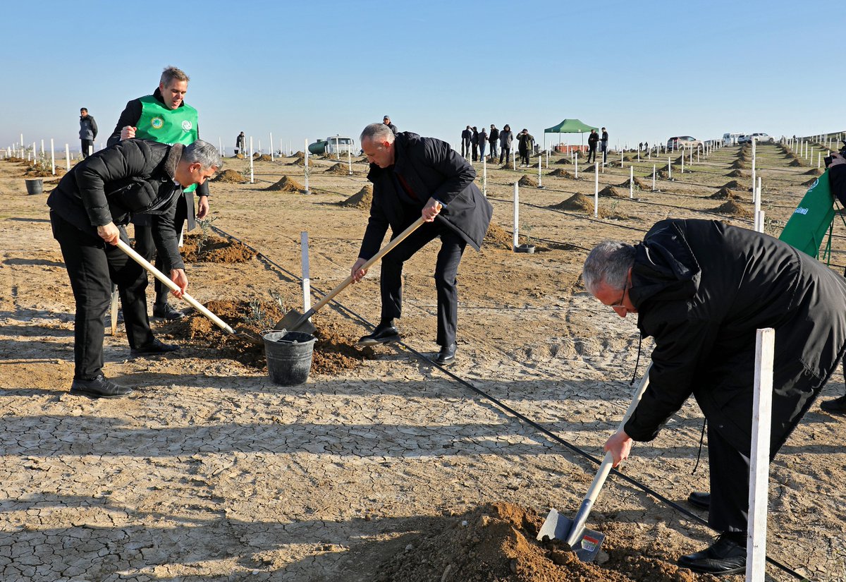 Vusal Huseynov (@vhuseynov) on Twitter photo Successfully marked #MigrantsDay & 🇦🇿's "Year of Solidarity for a Green World" w/h joint tree-planting event alongside <a href="/IomAzerbaijan/">IOM Azerbaijan</a> & <a href="/ETSN_ecogovaz/">Ekologiya və Təbii Sərvətlər Nazirliyi</a>. The event brought together diverse stakeholders and migrants, demonstrating our shared commitment to sustainable & greener world Successfully marked #MigrantsDay & 🇦🇿's "Year of Solidarity for a Green World" w/h joint tree-planting event alongside <a href="/IomAzerbaijan/">IOM Azerbaijan</a> & <a href="/ETSN_ecogovaz/">Ekologiya və Təbii Sərvətlər Nazirliyi</a>. The event brought together diverse stakeholders and migrants, demonstrating our shared commitment to sustainable & greener world