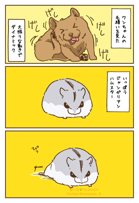 毛繕いハムスター(1/2) 