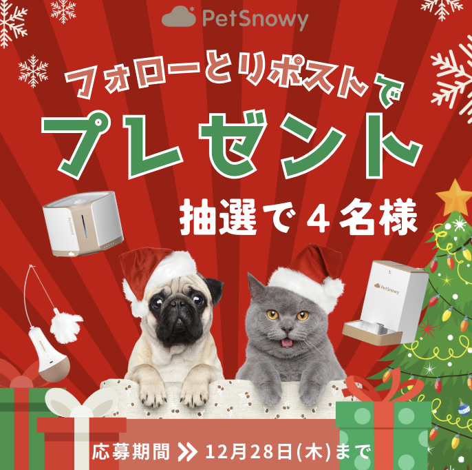 PetSnowy | ペット用品😺🐶 tweet media