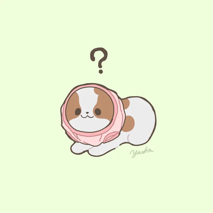 犬に服を着せるときの一瞬何かわからん見た目になる瞬間が好き 