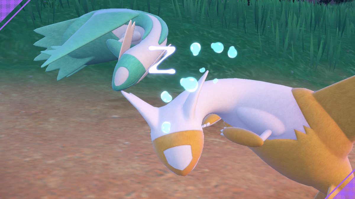 신난다 신난다...
남매완성
먀님에게 라티아스를 받았어요~~🥹🥹🥹