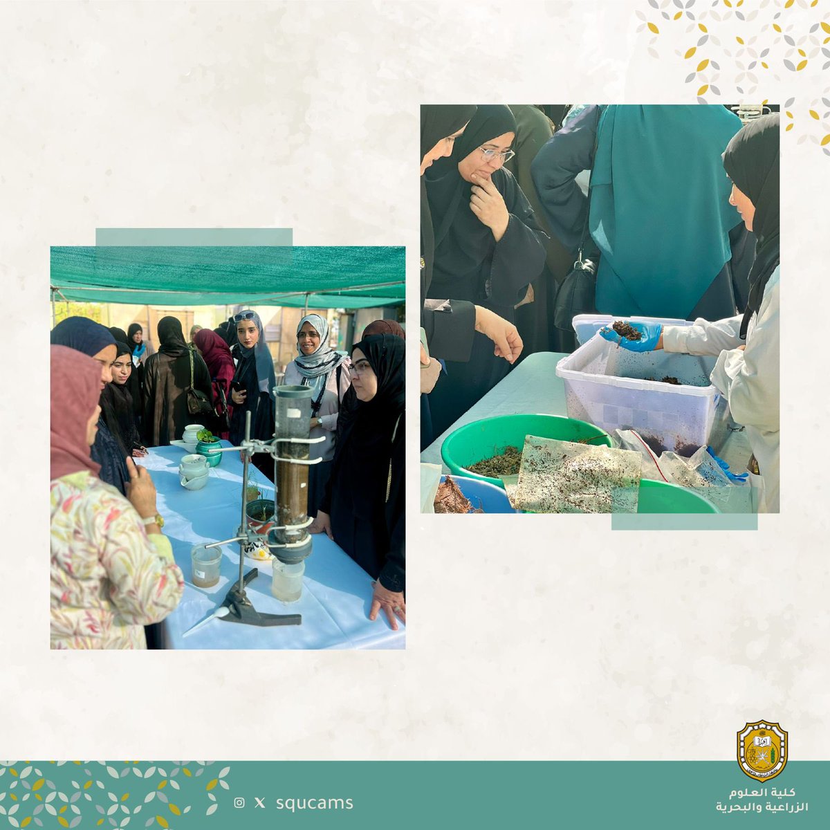 نظم قسم التربة والمياة والهندسة الزراعية ورشة عمل بعنوان "حديقتك من صنع يديك" حيث اقيمت الورشة بالتعاون مع قسم علوم النبات ومحطة التجارب الزراعية وبمشاركة بلدية مسقط وأعضاء من جمعية المرأة العمانية ومجالس الأمهات في مدارس ولاية السيب.