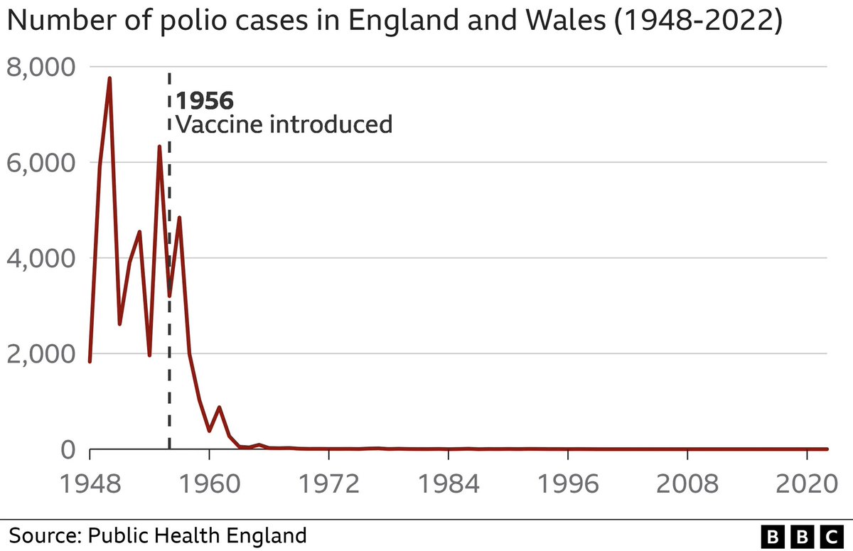 RFK Junior spreads lies about the polio vaccine 

This is what the vaccine *actually* does.

It eradicates polio 

👇👇