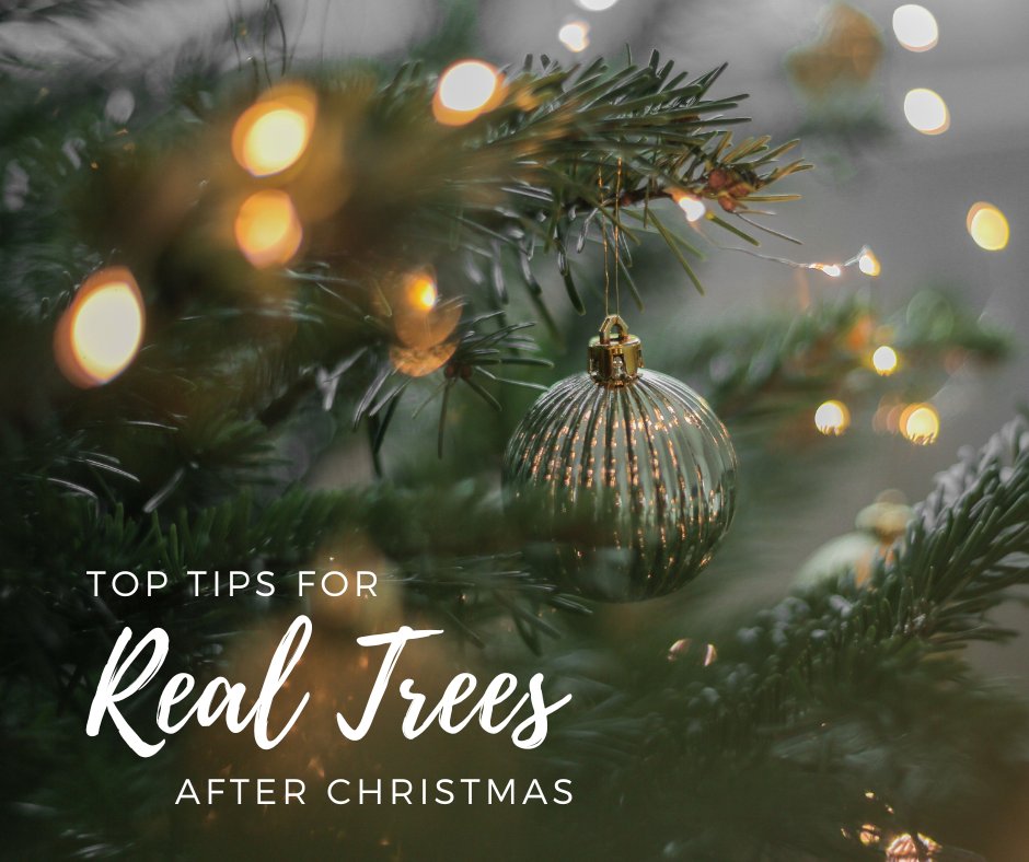#Solihull did you know you can recycle your Christmas tree through the Treecycling service and donate your tree to support local hospices - St Mary’s Hospice and John Taylor Hospice. Find out more here:
birminghamhospice.org.uk/get-involved/
