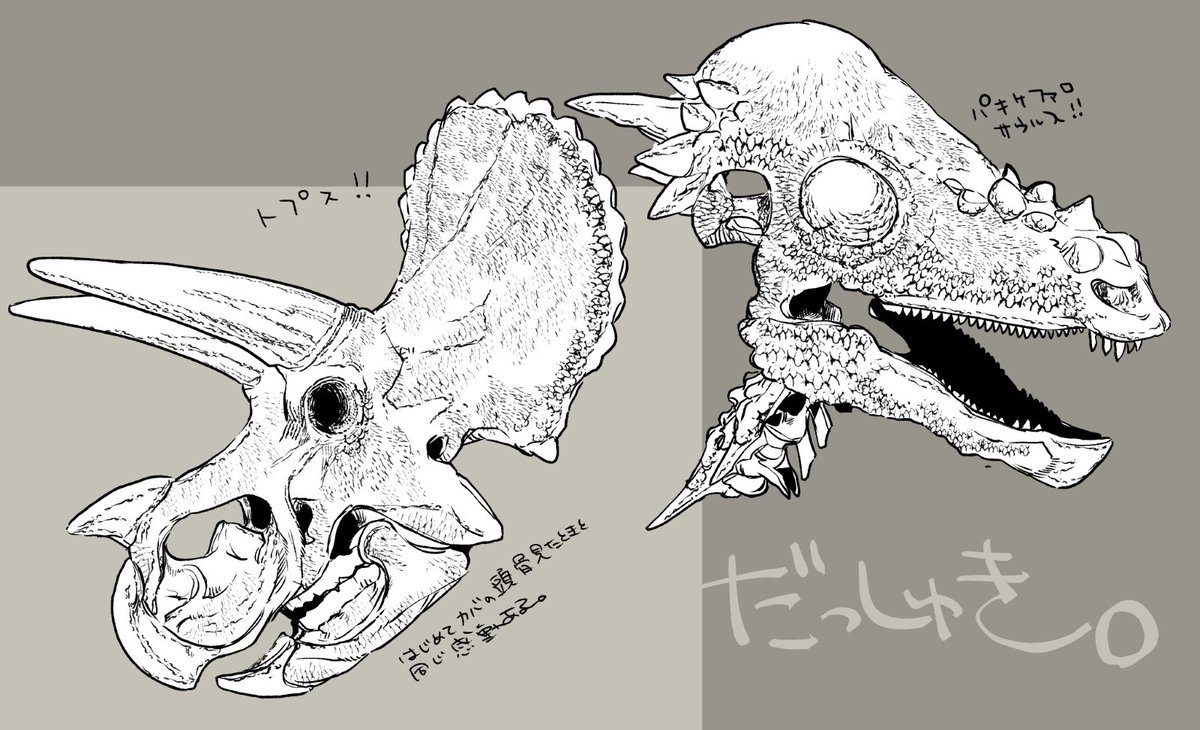 人の心はないですよ tweet media