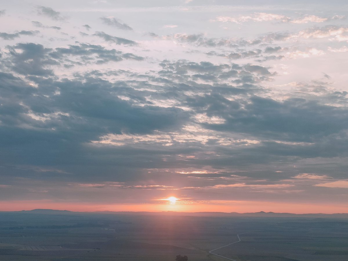 Buenos días. Así amanece hoy la Vega de Carmona unos días antes de la Navidad...