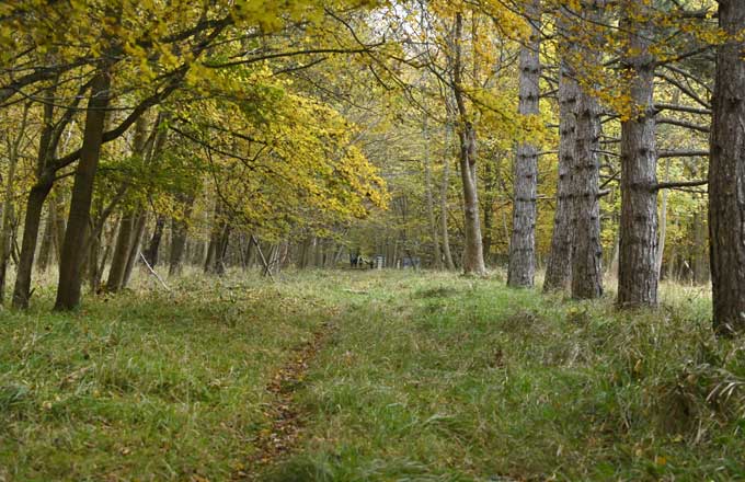 🌳 La région Île-de-France débourse 2 millions d’euros pour une nouvelle acquisition forestière
forestopic.com/fr/foret/econo…