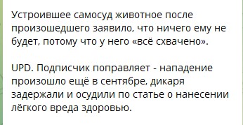 sovetnik881's tweet photo. В Ростовской области дикая обезьяна из Азербостана пробил голову покупателю, заподозрив того в воровстве. https://t.co/bYqoDU2kvn