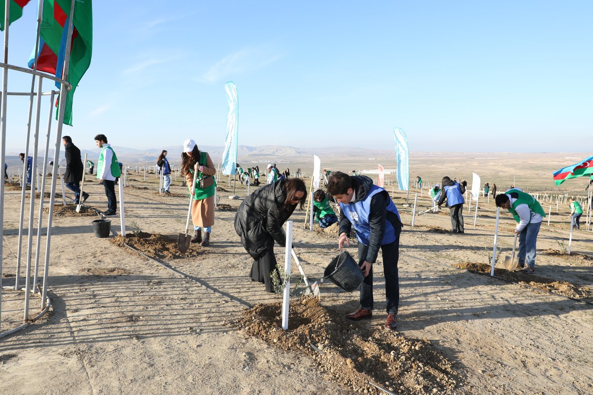 IOM Azerbaijan (@iomazerbaijan) on Twitter photo It's International Migrants Day! In the sprit of #COP29, IOM🇦🇿, <a href="/migrationAZE/">Dövlət Miqrasiya Xidməti State Migration Service</a> & <a href="/ETSN_ecogovaz/">Ekologiya və Təbii Sərvətlər Nazirliyi</a> planted more than 800🌳to raise awareness on climate change, human mobility and contributions made by migrants to build resilience in both their host and home communities. Happy #IMD! It's International Migrants Day! In the sprit of #COP29, IOM🇦🇿, <a href="/migrationAZE/">Dövlət Miqrasiya Xidməti State Migration Service</a> & <a href="/ETSN_ecogovaz/">Ekologiya və Təbii Sərvətlər Nazirliyi</a> planted more than 800🌳to raise awareness on climate change, human mobility and contributions made by migrants to build resilience in both their host and home communities. Happy #IMD!