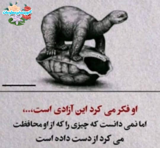 Taj Mohammad (@tmohammad36081) on Twitter photo 