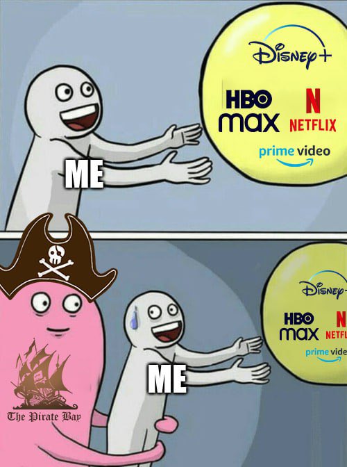 We're The Pirate Bay, we're fight for freedom.  <a href="/elonmusk/">Elon Musk</a>